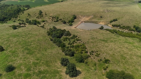 Tract 6 of 7  80.5+/- Acres Hill Land in Pasture and Timber - image 25