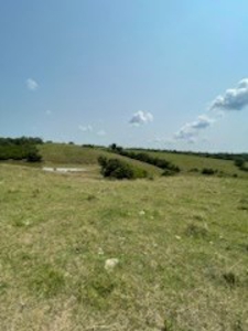 Tract 6 of 7  80.5+/- Acres Hill Land in Pasture and Timber - image 12
