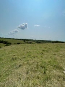 Tract 6 of 7  80.5+/- Acres Hill Land in Pasture and Timber - image 14
