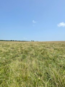 Tract 6 of 7  80.5+/- Acres Hill Land in Pasture and Timber - image 7