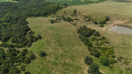Tract 6 of 7  80.5+/- Acres Hill Land in Pasture and Timber - image 24
