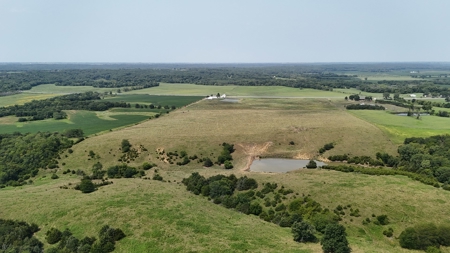 Tract 6 of 7  80.5+/- Acres Hill Land in Pasture and Timber - image 21