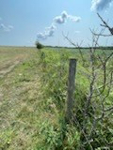 Tract 6 of 7  80.5+/- Acres Hill Land in Pasture and Timber - image 6