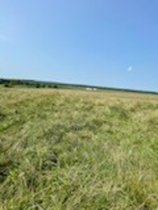 Tract 6 of 7  80.5+/- Acres Hill Land in Pasture and Timber - image 9