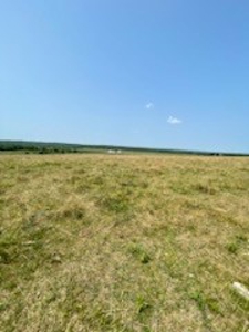 Tract 6 of 7  80.5+/- Acres Hill Land in Pasture and Timber - image 17