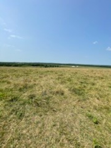 Tract 6 of 7  80.5+/- Acres Hill Land in Pasture and Timber - image 16