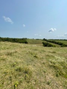 Tract 6 of 7  80.5+/- Acres Hill Land in Pasture and Timber - image 10