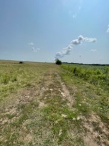 Tract 6 of 7  80.5+/- Acres Hill Land in Pasture and Timber - image 5