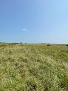 Tract 6 of 7  80.5+/- Acres Hill Land in Pasture and Timber - image 3