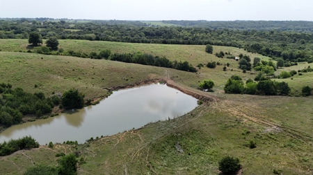 Tract 6 of 7  80.5+/- Acres Hill Land in Pasture and Timber - image 27