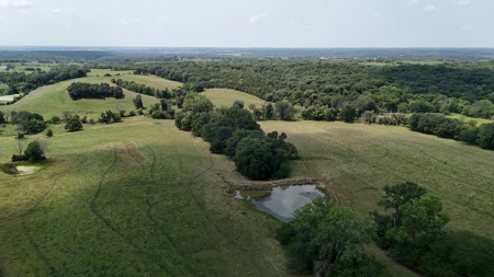 Tract 7 of 7 73+/- Acres Hill Land in Pasture and Timber - image 27