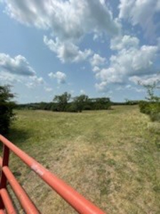 Tract 7 of 7 73+/- Acres Hill Land in Pasture and Timber - image 18