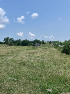Tract 7 of 7 73+/- Acres Hill Land in Pasture and Timber - image 3