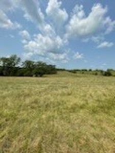 Tract 7 of 7 73+/- Acres Hill Land in Pasture and Timber - image 17