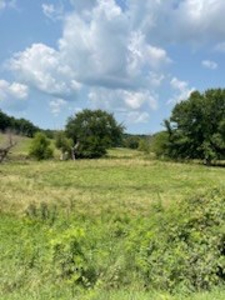Tract 7 of 7 73+/- Acres Hill Land in Pasture and Timber - image 14