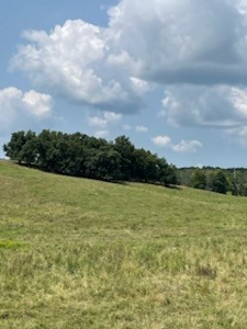 Tract 7 of 7 73+/- Acres Hill Land in Pasture and Timber - image 12