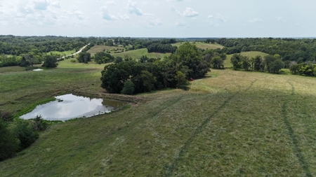 Tract 7 of 7 73+/- Acres Hill Land in Pasture and Timber - image 30