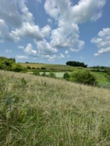 Tract 7 of 7 73+/- Acres Hill Land in Pasture and Timber - image 7