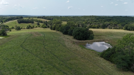 Tract 7 of 7 73+/- Acres Hill Land in Pasture and Timber - image 29