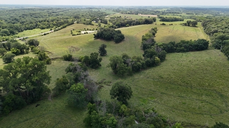 Tract 7 of 7 73+/- Acres Hill Land in Pasture and Timber - image 33