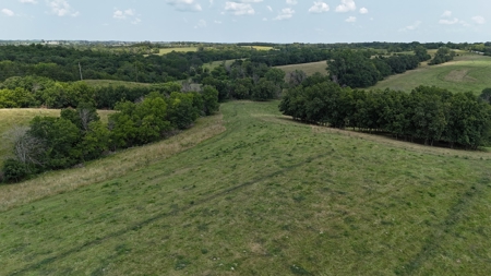 Tract 7 of 7 73+/- Acres Hill Land in Pasture and Timber - image 36