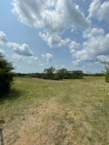 Tract 7 of 7 73+/- Acres Hill Land in Pasture and Timber - image 19