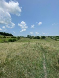 Tract 7 of 7 73+/- Acres Hill Land in Pasture and Timber - image 6
