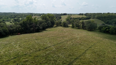 Tract 7 of 7 73+/- Acres Hill Land in Pasture and Timber - image 31