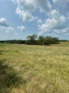 Tract 7 of 7 73+/- Acres Hill Land in Pasture and Timber - image 16