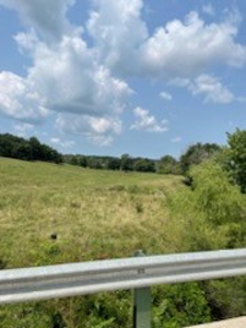 Tract 7 of 7 73+/- Acres Hill Land in Pasture and Timber - image 10