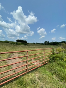 Tract 7 of 7 73+/- Acres Hill Land in Pasture and Timber - image 2