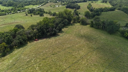 Tract 7 of 7 73+/- Acres Hill Land in Pasture and Timber - image 32