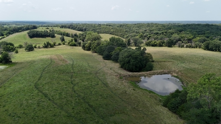 Tract 7 of 7 73+/- Acres Hill Land in Pasture and Timber - image 28