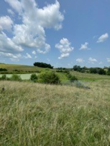 Tract 7 of 7 73+/- Acres Hill Land in Pasture and Timber - image 8