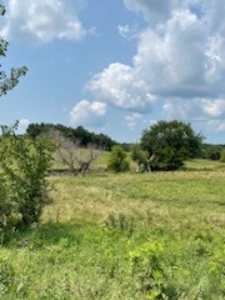 Tract 7 of 7 73+/- Acres Hill Land in Pasture and Timber - image 15