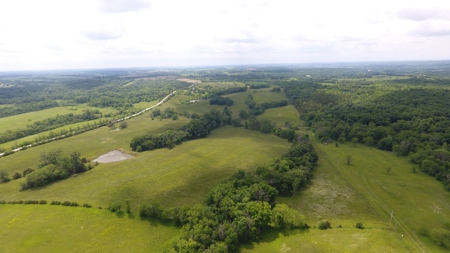 Tract 7 of 7 73+/- Acres Hill Land in Pasture and Timber - image 20