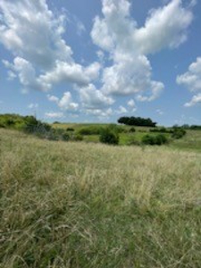 Tract 7 of 7 73+/- Acres Hill Land in Pasture and Timber - image 5