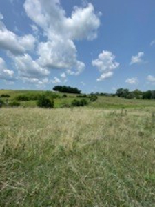 Tract 7 of 7 73+/- Acres Hill Land in Pasture and Timber - image 4