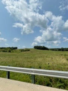 Tract 7 of 7 73+/- Acres Hill Land in Pasture and Timber - image 13