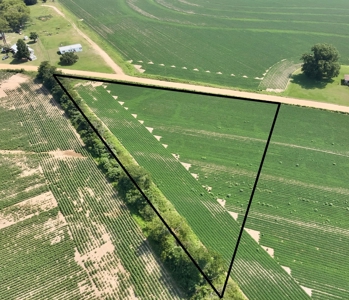 Land for sale Headland, Alabama - image 6