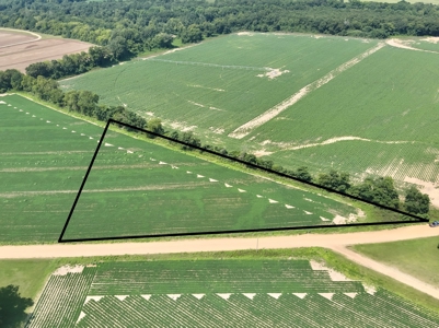 Land for sale Headland, Alabama - image 7