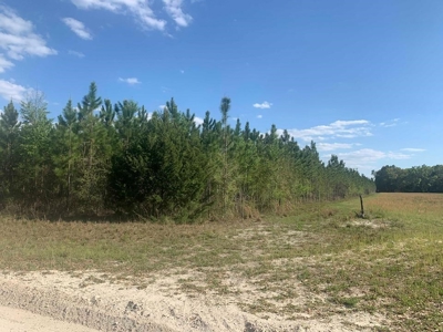 Vacant Land In Bell, FL - image 3