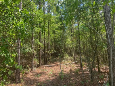 Vacant Land In Bell, FL - image 1