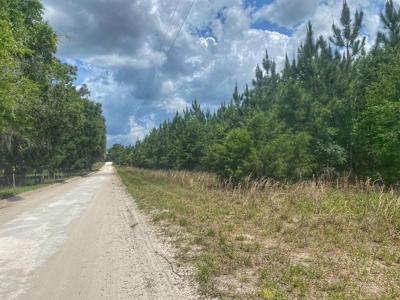 Vacant Land In Bell, FL - image 2