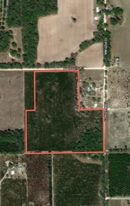 Vacant Land In Bell, FL - image 4