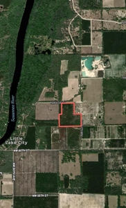 Vacant Land In Bell, FL - image 5
