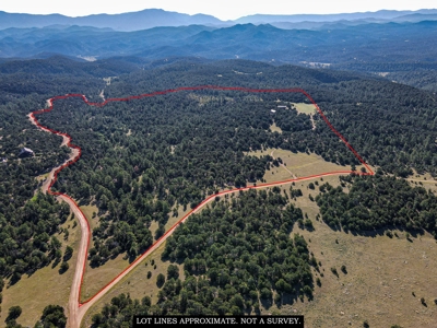 Large Remodeled Cabin on 106 Acres for Sale in Cody Park, CO - image 32