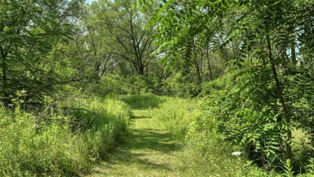 Welcome to Horicon, WI, where tranquility meets luxury - image 45