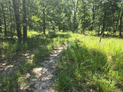 3.2 ± Acres of Mountain Land for Sale in Moyers, OK - image 4