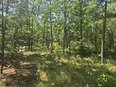 3.2 ± Acres of Mountain Land for Sale in Moyers, OK - image 3